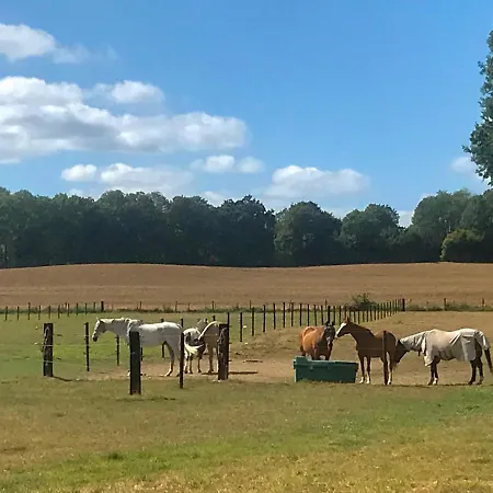 D'hote Saint-symphorien Mons