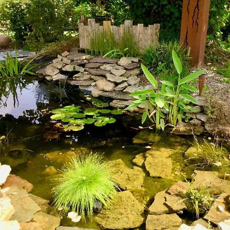 Couette-café D'hote Saint-symphorien