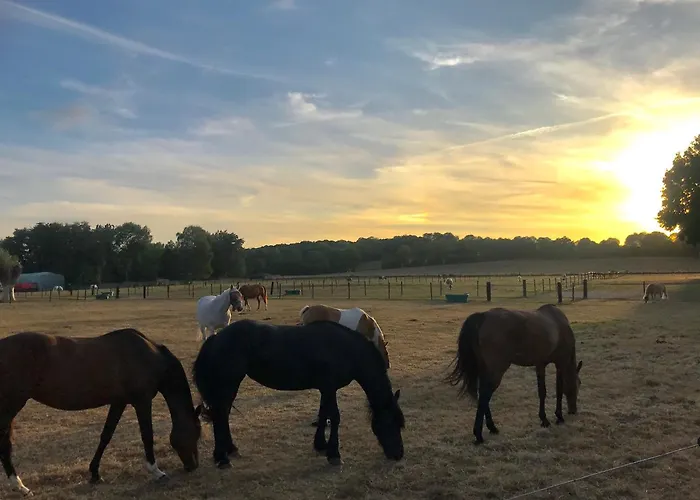 D'hote Saint-symphorien Bed & Breakfast Mons